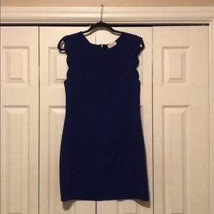 Royal blue medium scallop sleeve dress